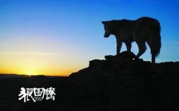 狼图腾的心得体会8篇