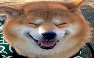 主题读书的快乐演讲稿6篇