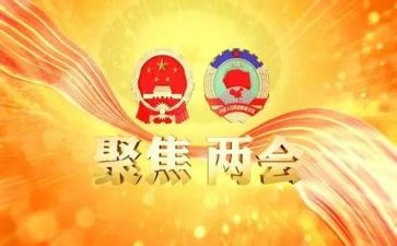 19两会心得体会7篇