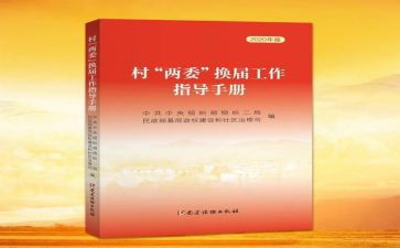 村两委年度工作总结6篇