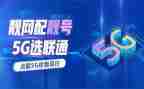 2023年联通工作总结模板6篇