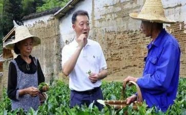 廖俊波心得体会5篇