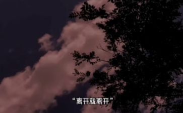 我不能离开他作文8篇