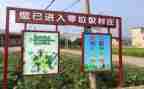 零垃圾调查报告8篇