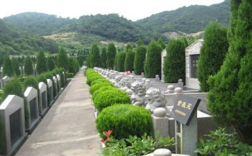 清明烈士陵园扫墓讲话稿8篇
