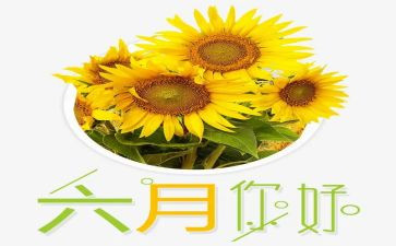 六月工作总结幼儿园6篇