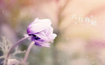 六月份的工作总结8篇