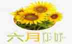 六月安全演讲稿5篇