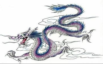 龙调查报告8篇