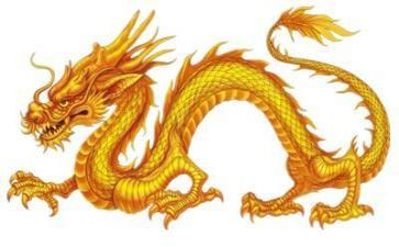 武士与龙的读后感8篇