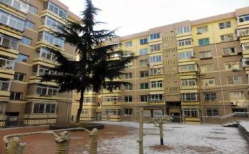 楼院支部书记先进事迹材料7篇