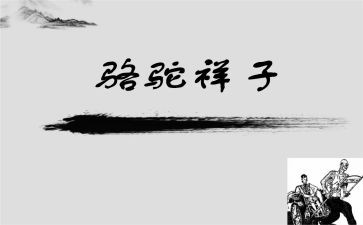 读骆驼心得体会优秀6篇