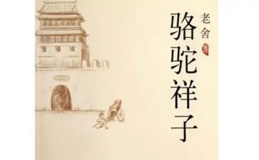 骆驼教学反思7篇