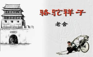 读骆驼心得体会精选6篇