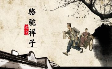 骆驼祥子》心得体会参考7篇