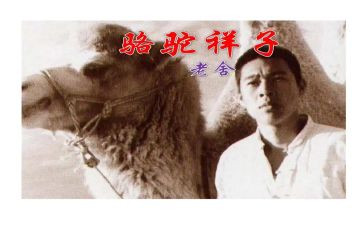 骆驼祥子》心得体会最新6篇