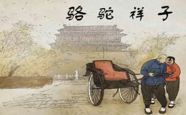 《找骆驼》教学反思5篇