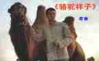 读骆驼心得体会5篇