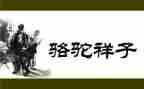 骆驼的读后感1500字8篇