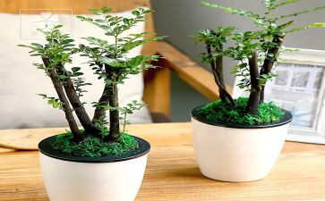 绿色生态心得体会8篇