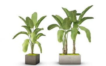 仙踪绿野仙踪的读后感模板7篇