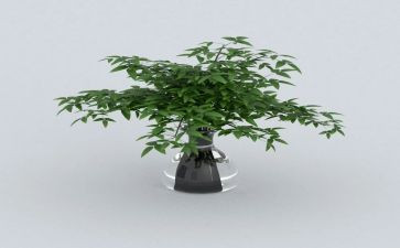 仙踪绿野仙踪的读后感参考6篇