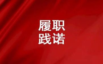 履职工作总结8篇