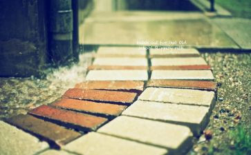 慢生活快节奏作文7篇