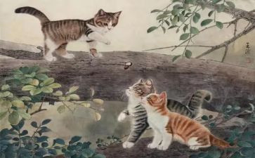 猫读后感500字精选8篇