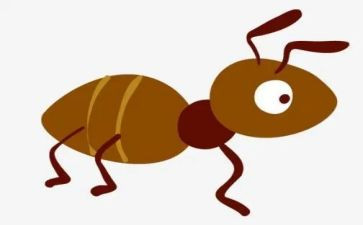 蚂蚁作文800字6篇