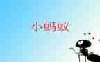 我发现了____蚂蚁____作文推荐8篇