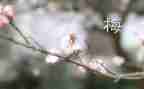 张桂梅个人先进事迹材料6篇