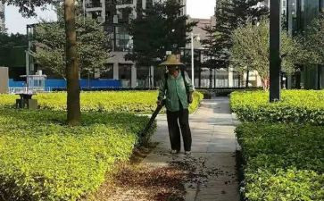 校园美化活动总结最新7篇