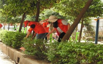 美化绿化校园活动总结7篇