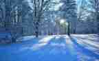 我爱冬季的雪作文优秀7篇