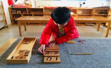 蒙氏教师培训心得体会范文最新8篇