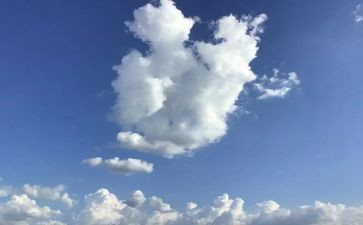 明天的你作文600字优质7篇