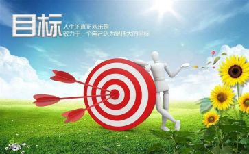 定目标工作总结6篇