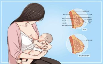 母乳喂养日活动总结5篇