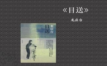 目送中目送的读后感精选7篇