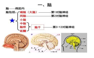 脑外科工作总结6篇