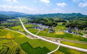 宁化环境调查报告模板5篇