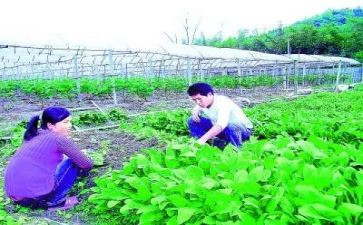 农技站个人总结8篇