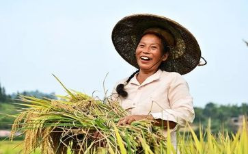 新型农民培训总结5篇