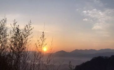 小学语文盼教案优秀5篇