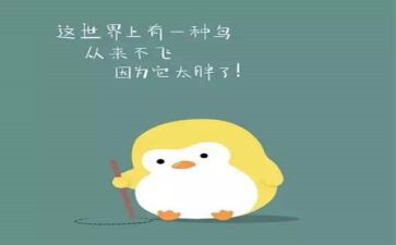 胖爸爸作文300字优秀8篇