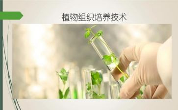 指导培养工作总结6篇
