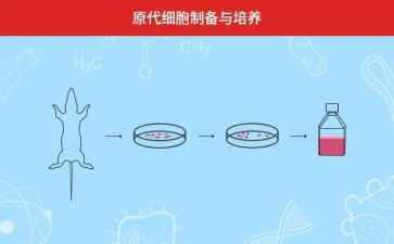 教师双培养工作计划最新5篇