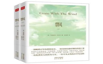 《飘》的观后感优质8篇