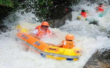 漂流屋的读后感通用8篇